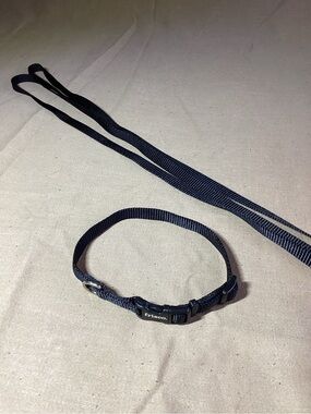 Frisco Solid Nylon Dog Collar and Leash, Black, XS